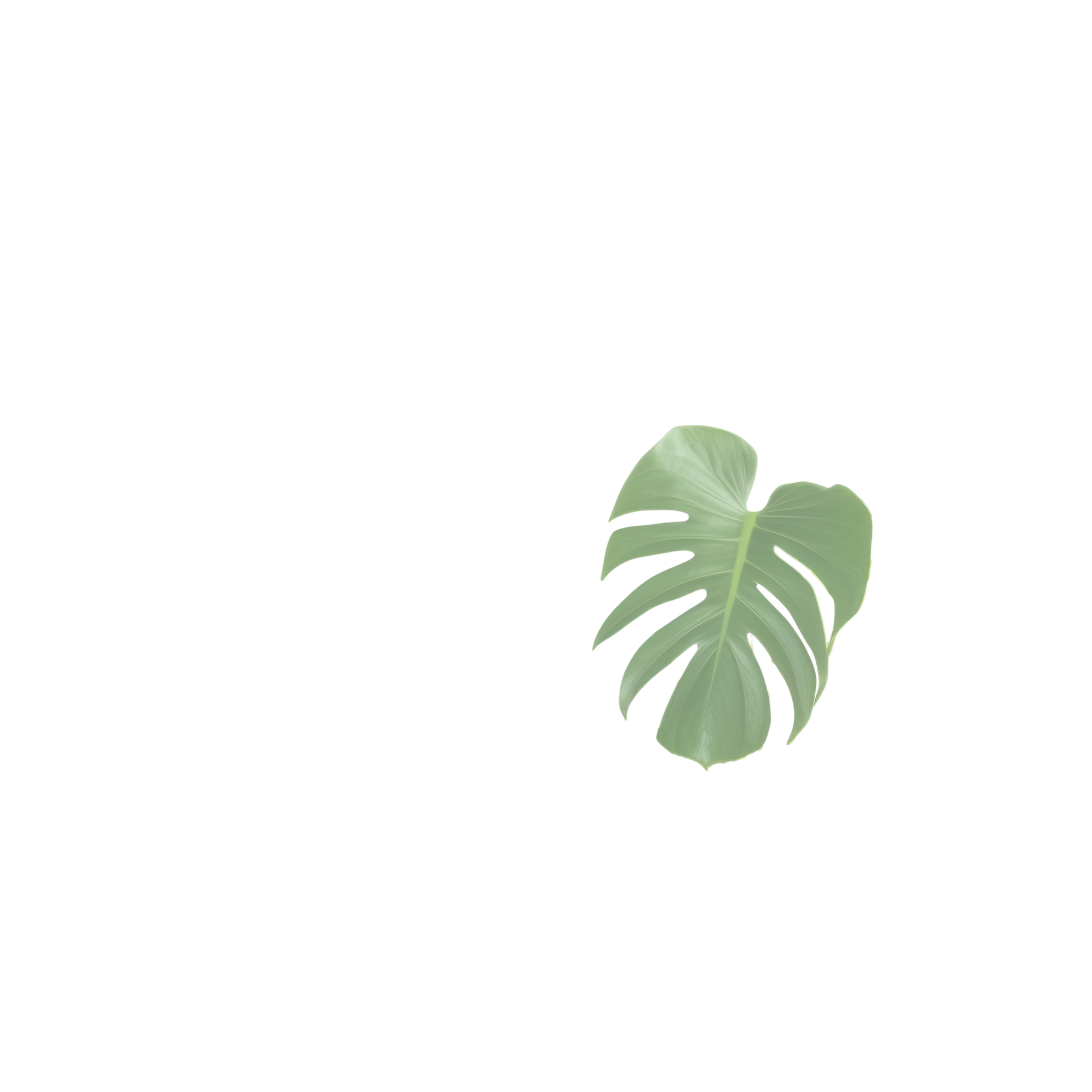 leftFrontMiddle