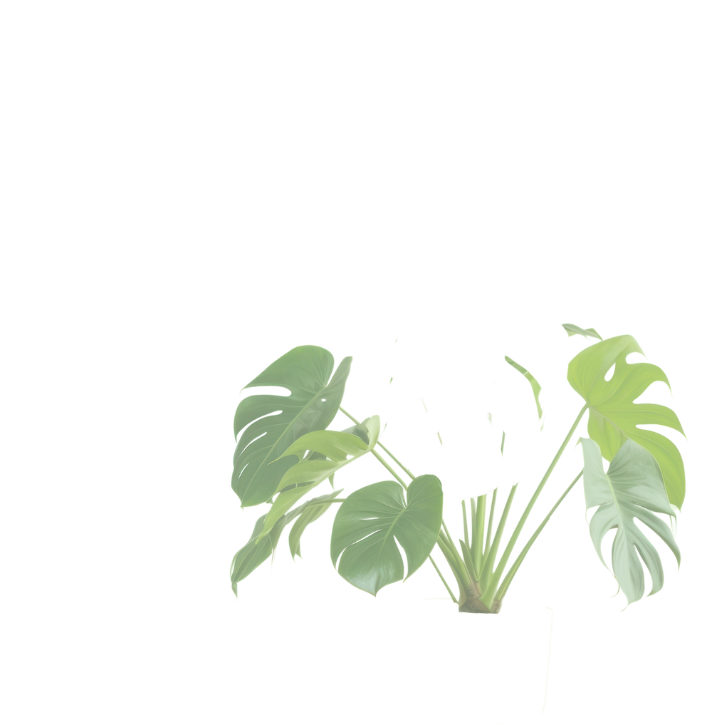 leftMiddle