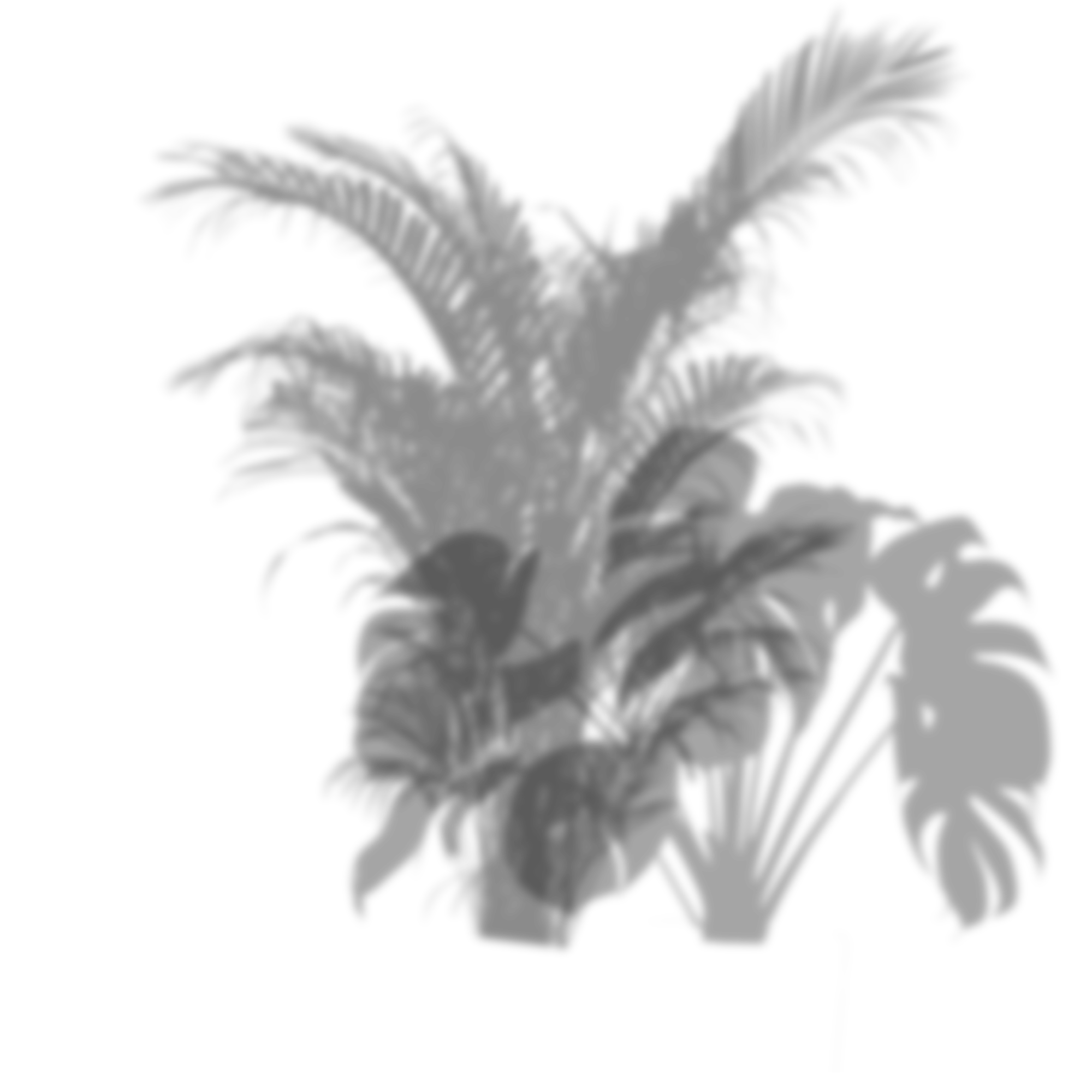 leftShadow
