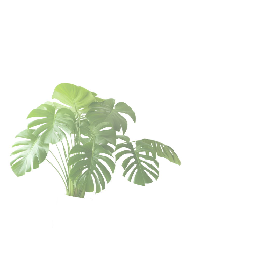 rightMiddle