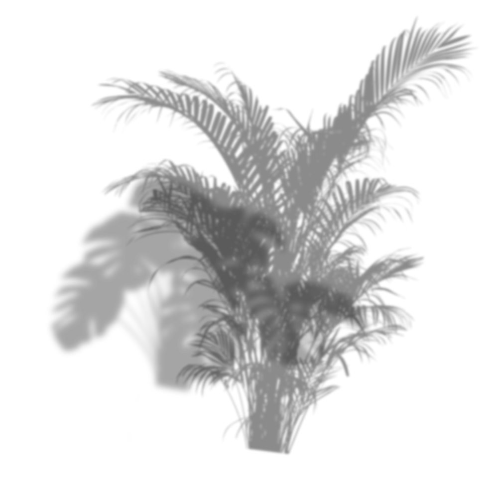 rightShadow